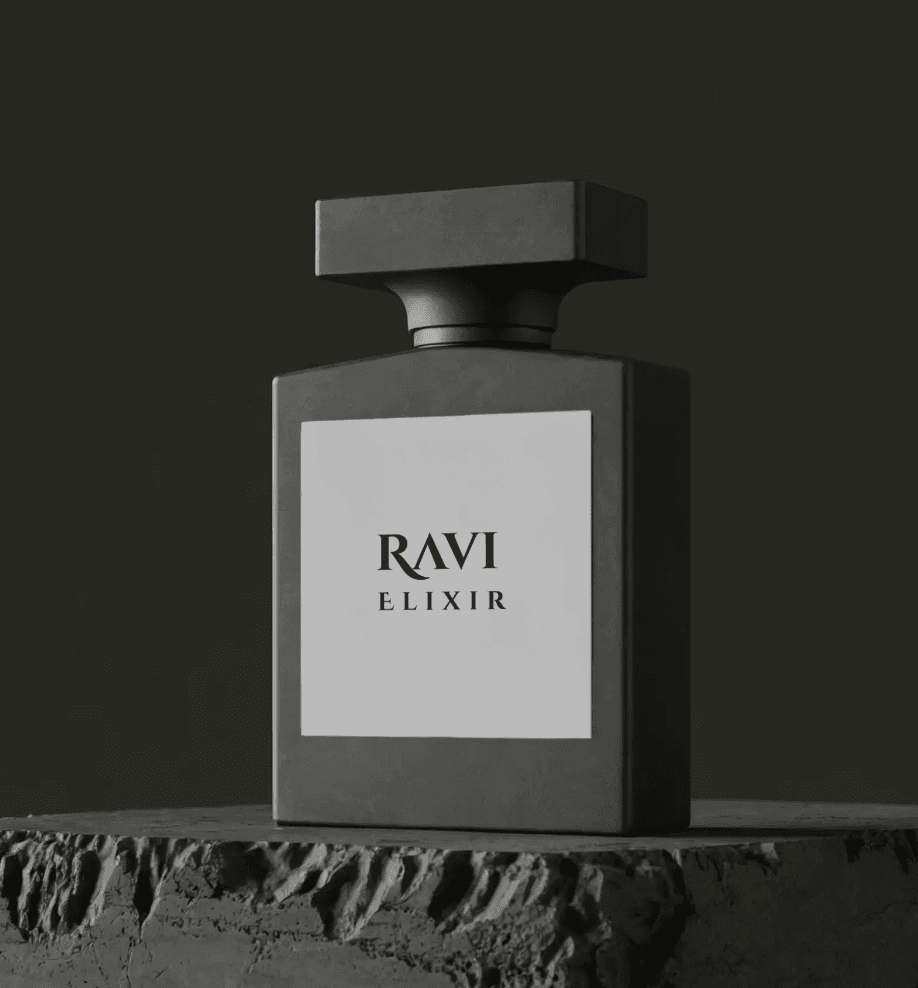 ست دیسکاوری شنل