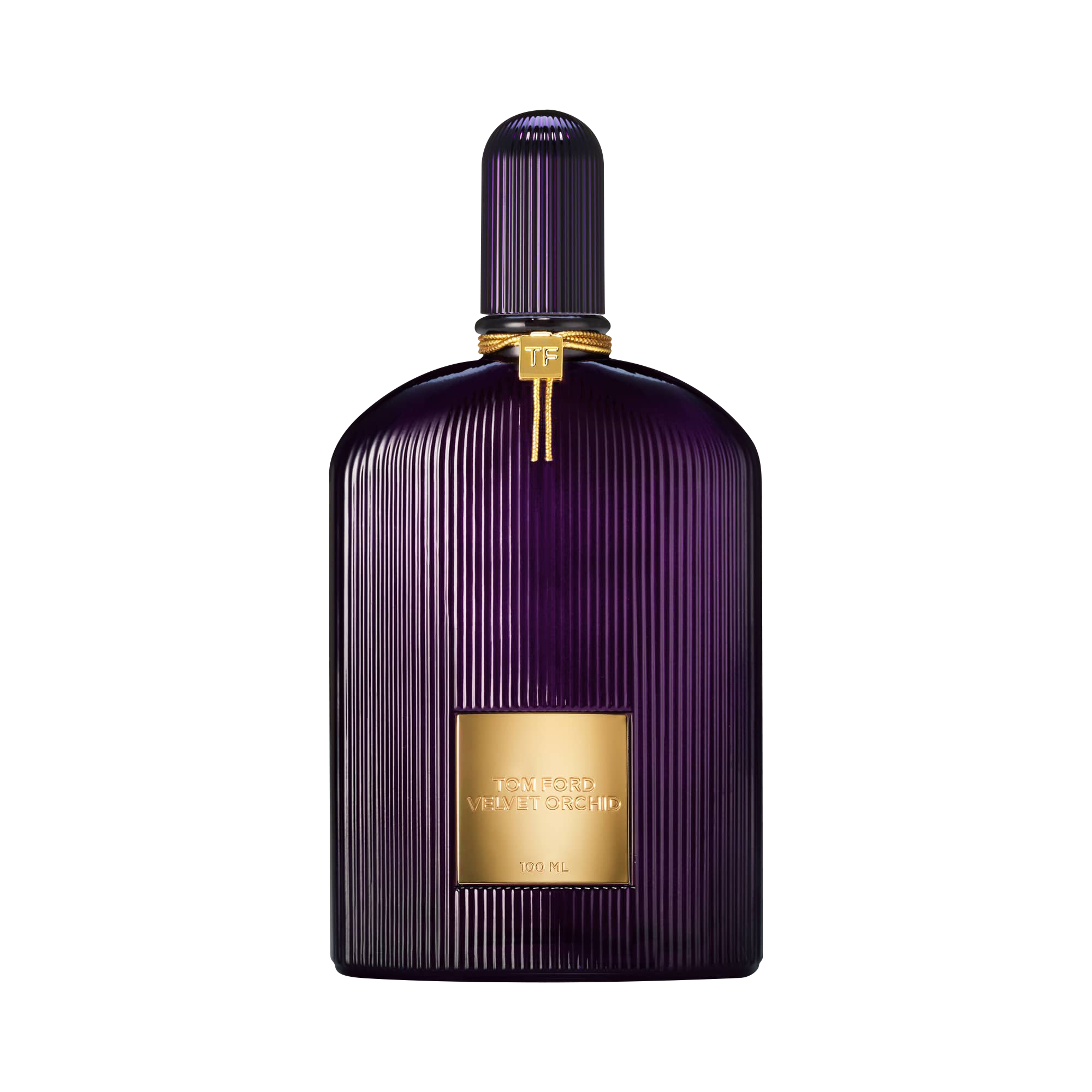 Velvet Orchid